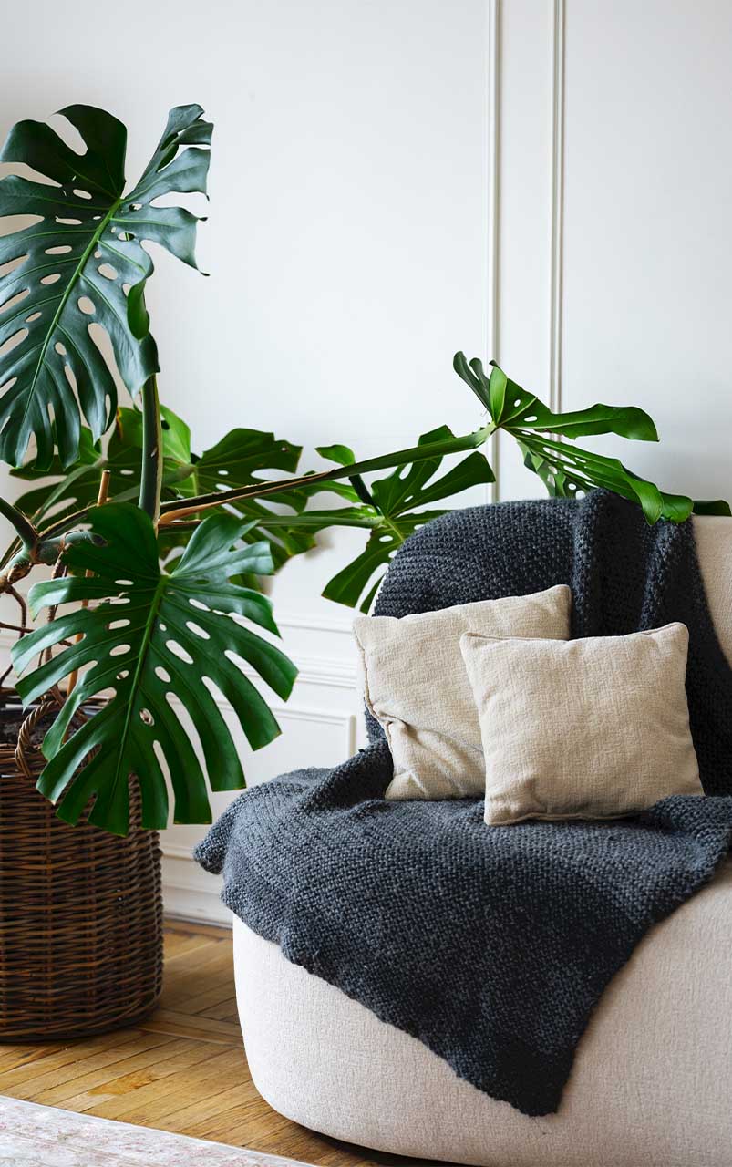 Dream Casa Planner
